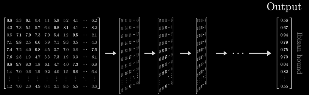 tensor flow