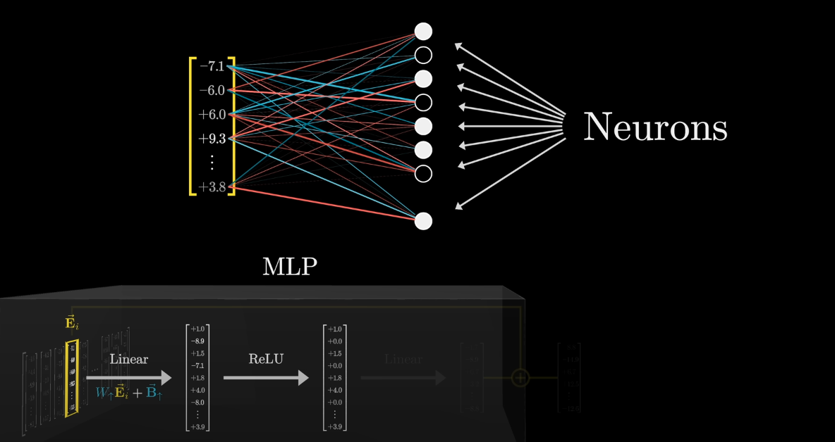 MLP and neurons